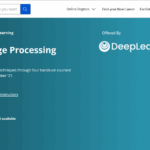 Natural Language Processing Course