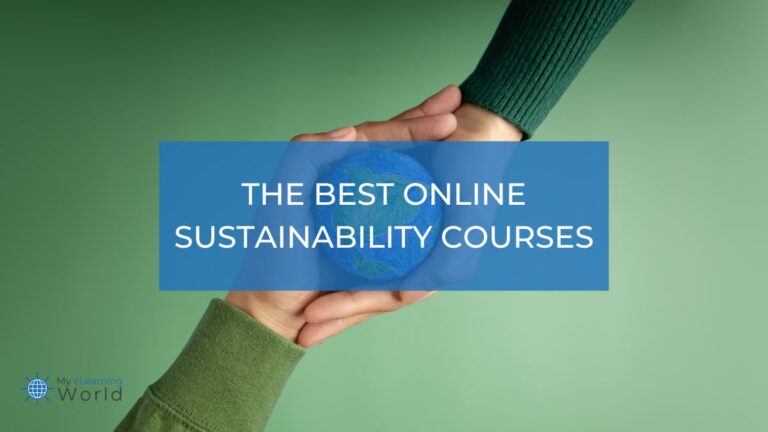The Uncharted Path: Discovering a New World Through Sustainability Courses