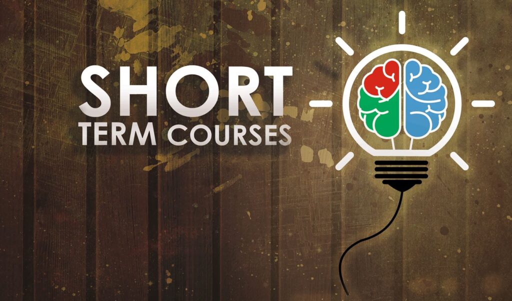 The Whisper of a New Beginning: My Journey Through English Short Courses